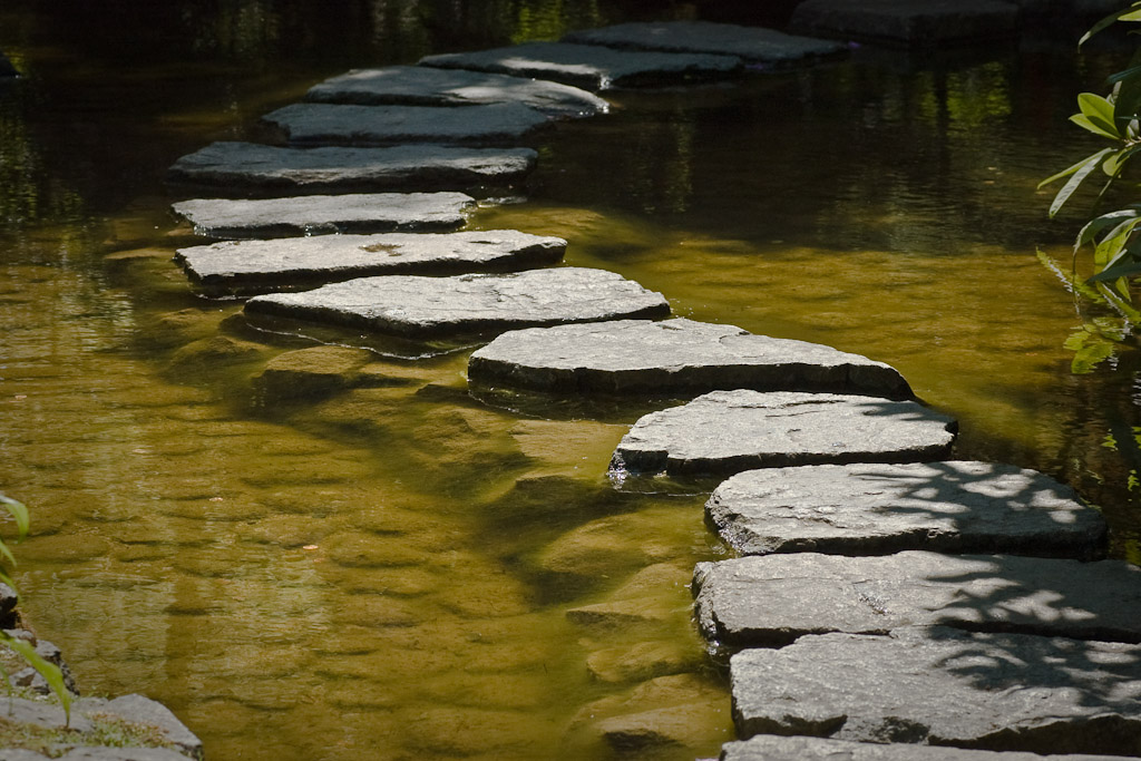 stepping stone image
